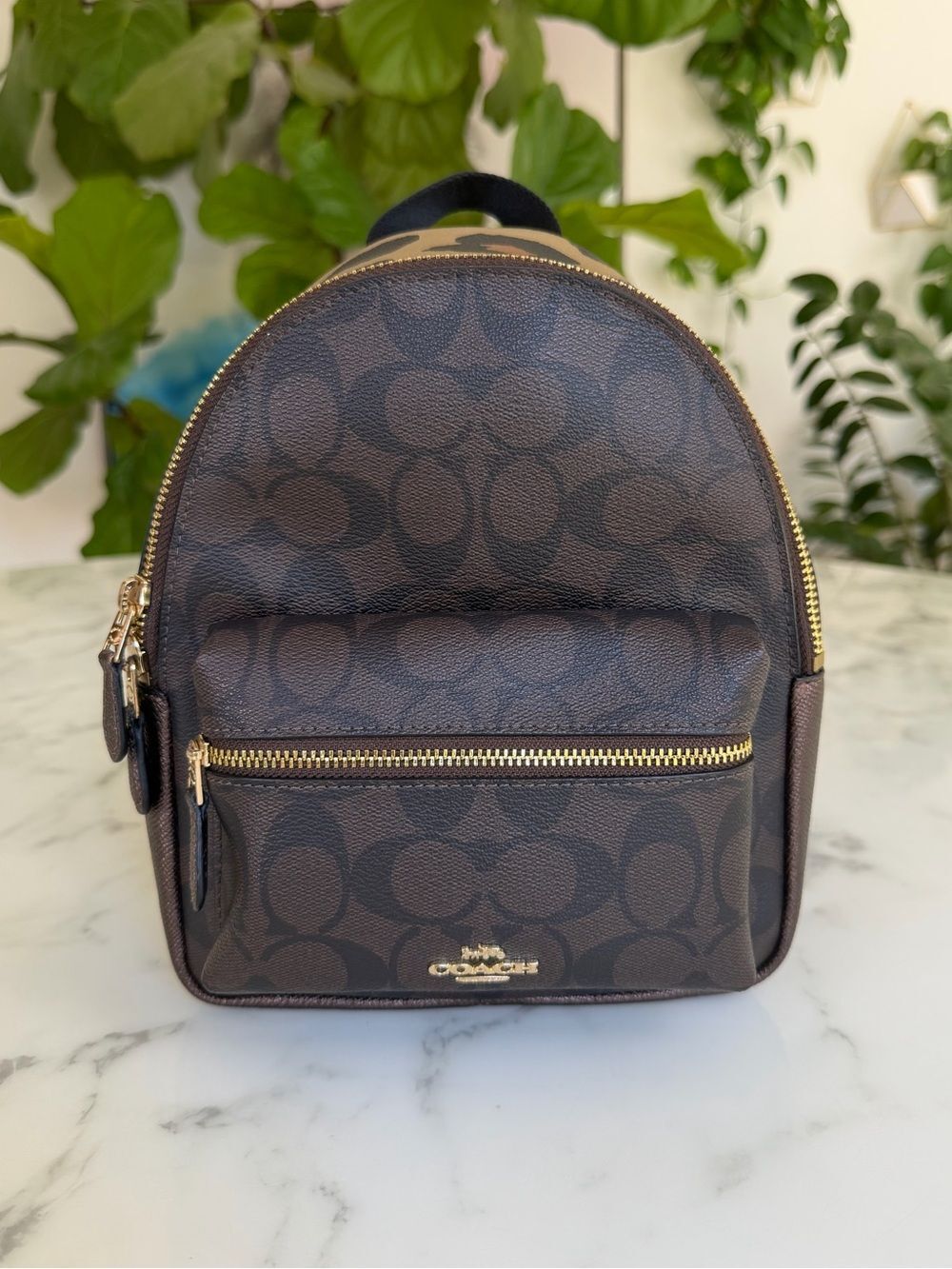 Coach Mini Charlie Backpack in Signature Canvas with Leopard Print F39034 Brown